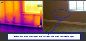 infrared thermal imaging